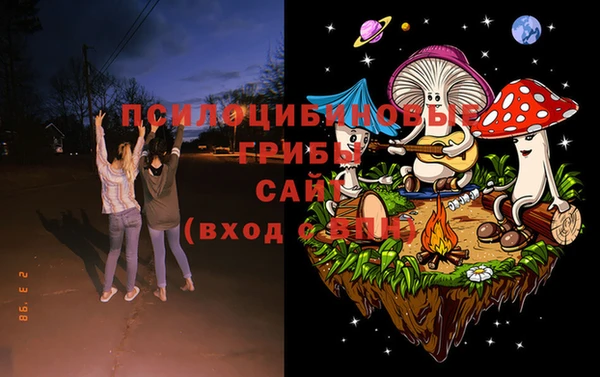 герыч Тайга