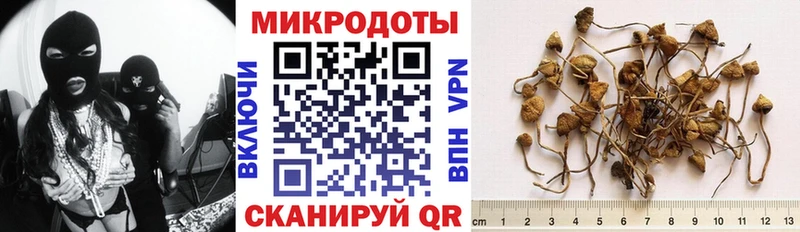 Купить закладки  Питкяранта  Галлюциногенные грибы ЛСД 